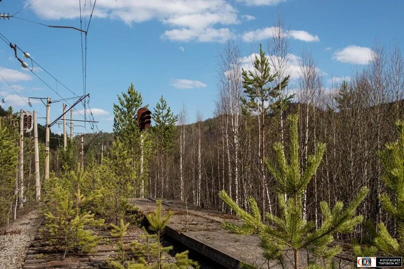 Юша пихта. Станция пихта межгорье. юша пихта железная дорога. железная дорога юша межгорье. заброшенные железные дороги россии.