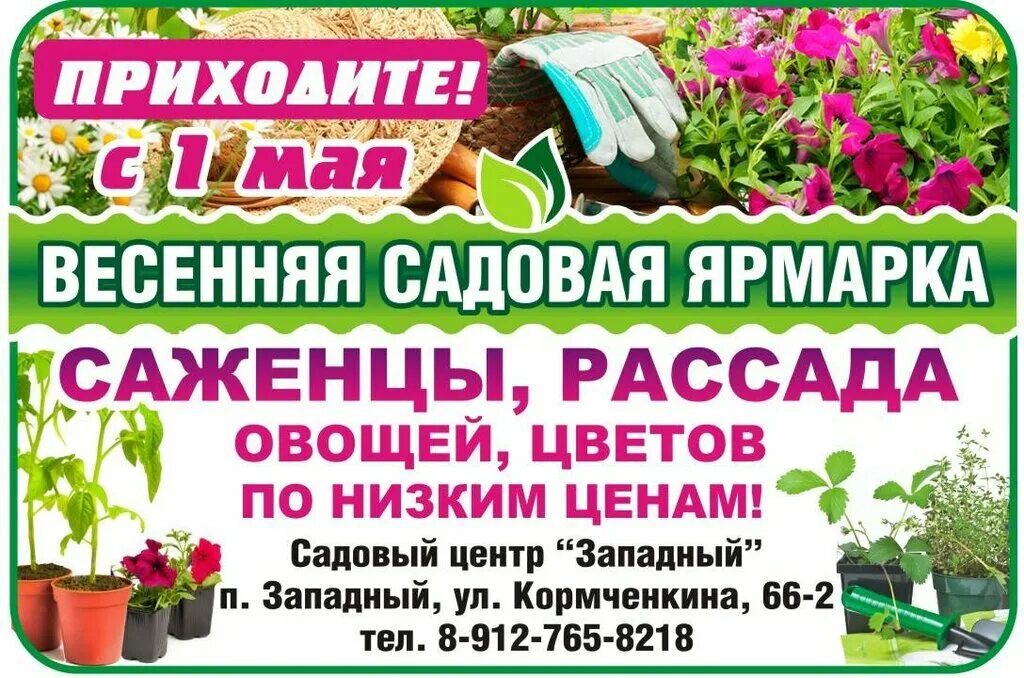 Садовый центр краски лета. Реклама садового магазина. садовый центр баннер. рассада цветов и овощей. рассада саженцы.