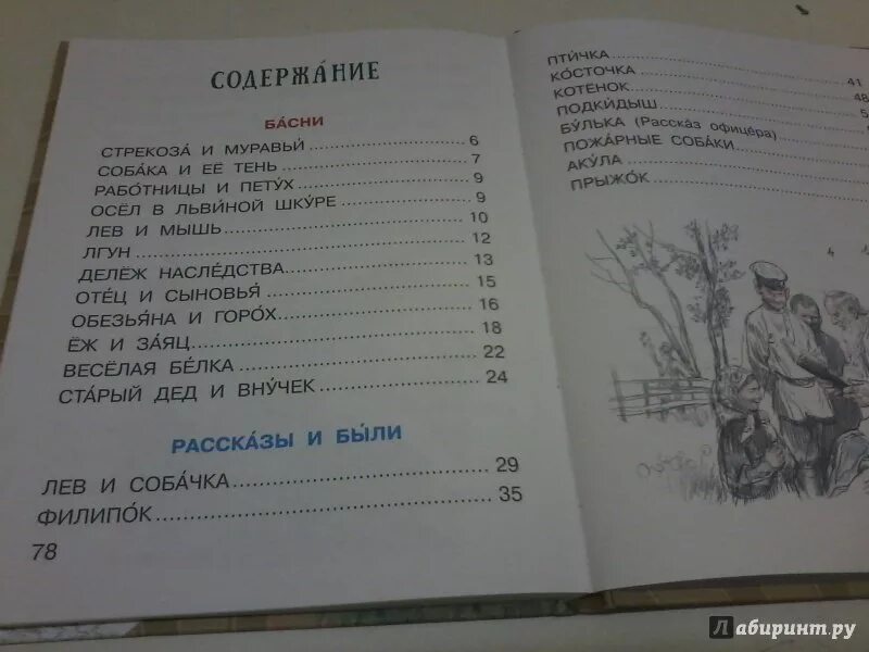 Собака сколько страниц. Рассказ лгун. Лев толстой лгун. Рассказ лгун л.Толстого. Толстой лгун текст.