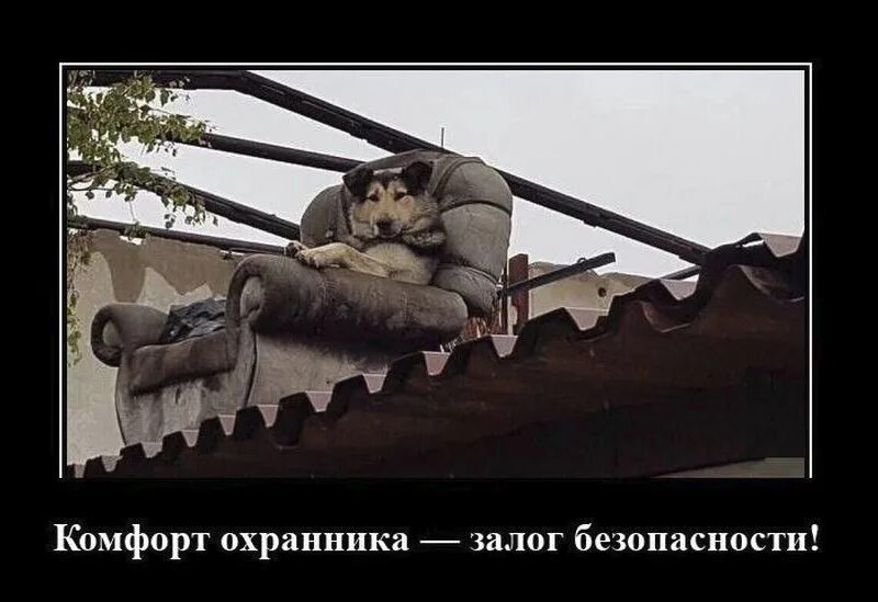 Гостиница комфорт липецк. Удобство и комфорт. Главное комфорт. Комфорт надпись. Комфорт лого.