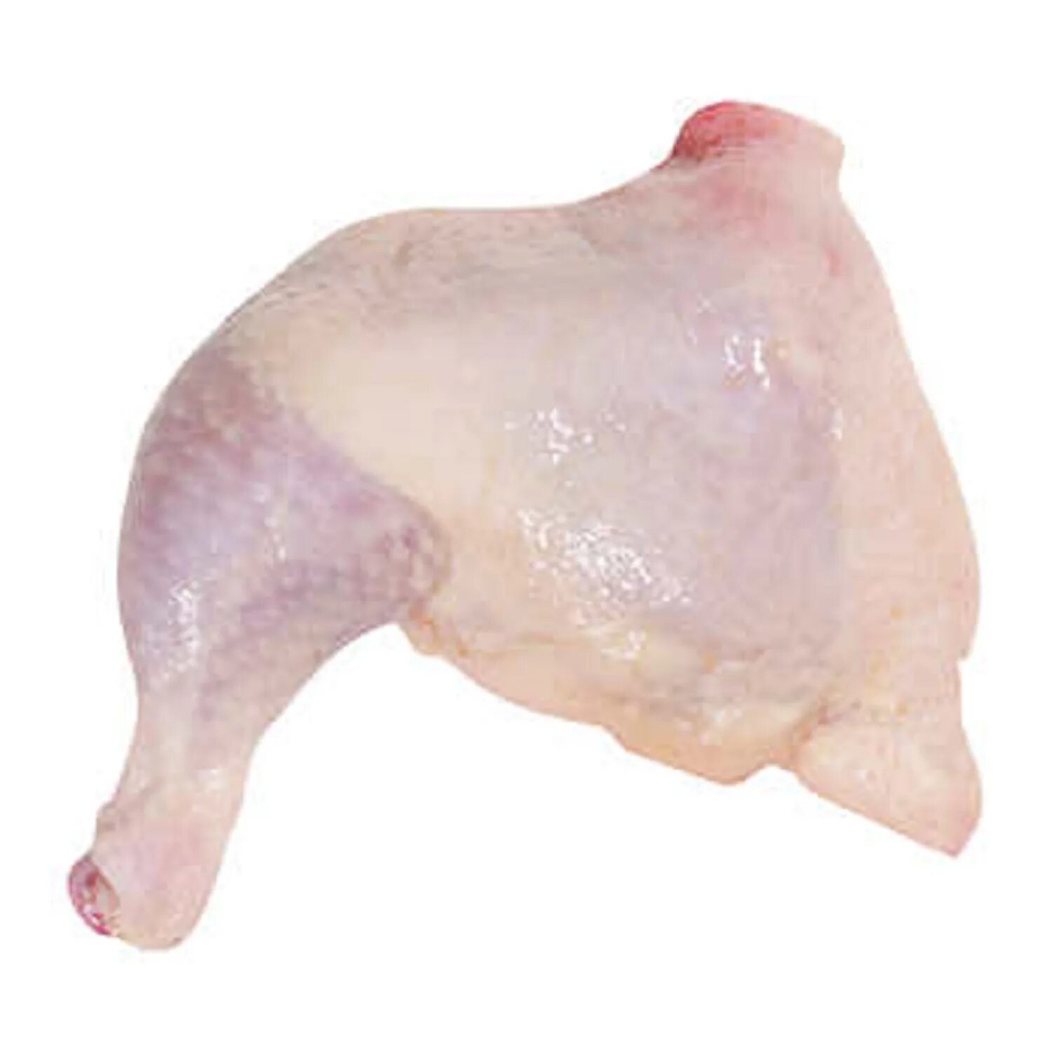 Окорочка замороженный. Задняя четвертина цыпленка-бройлера. Куриные окорочка охлажденные. Курица окорочка. Окорок куриный.