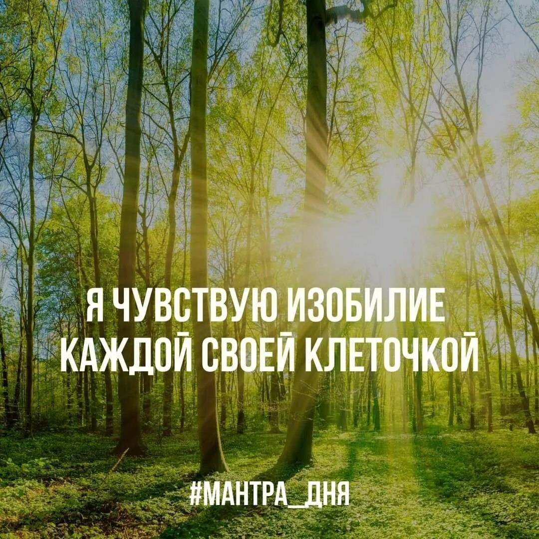 Мантра дня. Мантра дня сегодня. мантра дня у меня все хорошо а будет еще лучше.