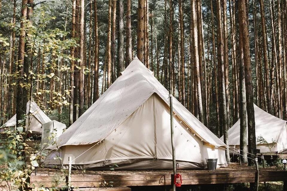 Tourist camp. Палаточный лагерь «лес и море», Тверская область и Алтай. Лес и море палаточный лагерь Калязин. Глэмпинг Калязин. Лес и море глэмпинг.