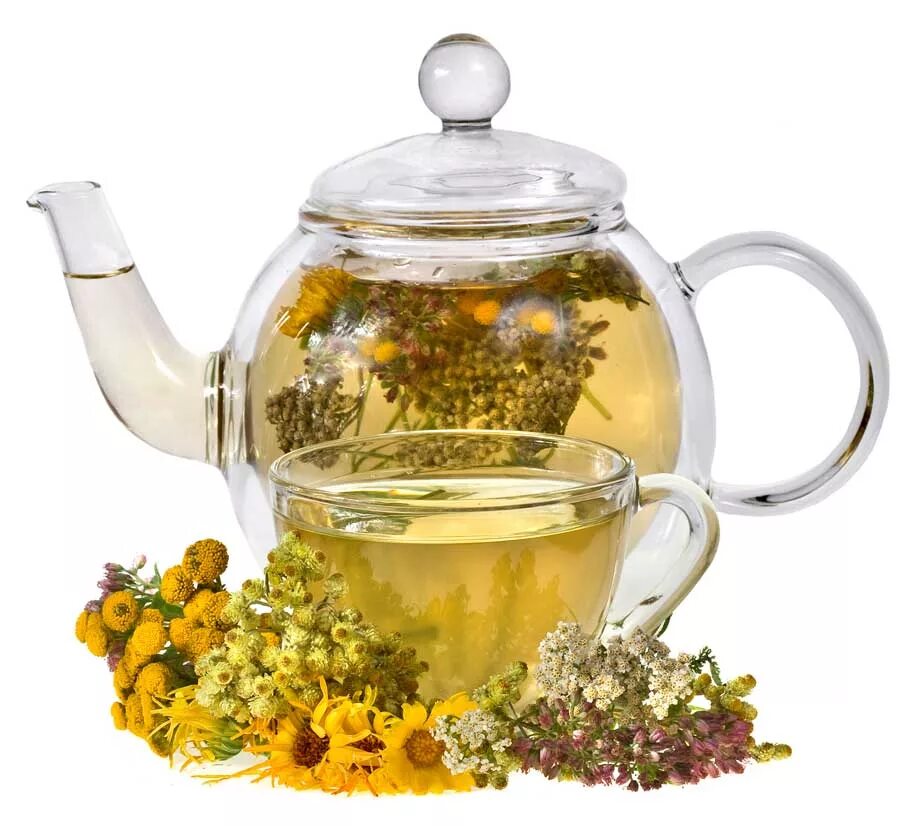 Растения для заварки. Травяной чай (Herbal Tea). Фиточай медовый Крым - 20г. Чай на белом фоне. Чайник с травами.