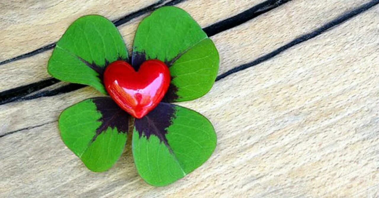 Обои с надписью i love you. Красивые душевные картинки. Розовое сердце. Любовь к природе. Обои на рабочий стол любовь.