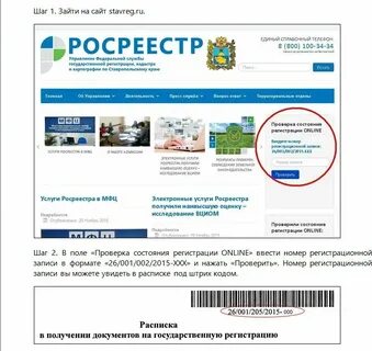 Как узнать прошла ли регистрация