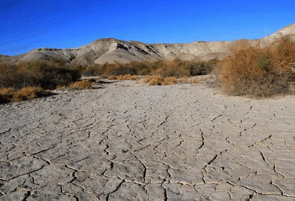 Самый сухой климат в мире. Мохаве Калифорния. Невада пустыня Мохаве. Пустыня Мохаве Калифорния. Пустошь Мохаве.