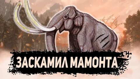 Мамонт мем