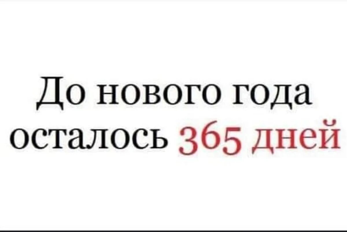 До нового года осталось 70 дней. До нового года осталось 365 дней. до нового года осталось 365 дней картинка. до нового года осталось 365 дней мем. до нового года осталось 364.