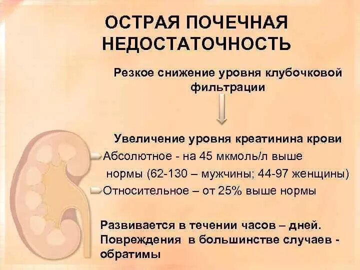 Отказ почек сколько проживет. Отказ почек симптомы у мужчин. Почечная недостаточность симптомы. Острая почечная недостаточность симптомы у женщин. Острая почечная недостаточность симптомы у мужчин.