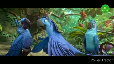 Rio video