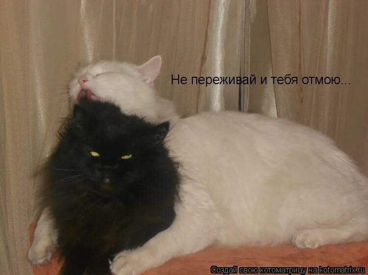 не переживай полматери