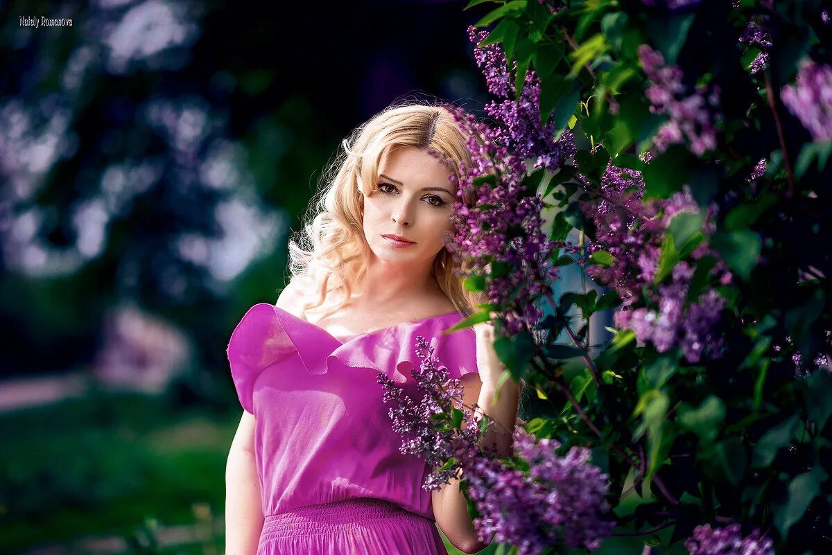 сиреневые рае. сиреневый закат. девушка с сиренью. девушка с сиренью. сиреневый рай липецкая область.