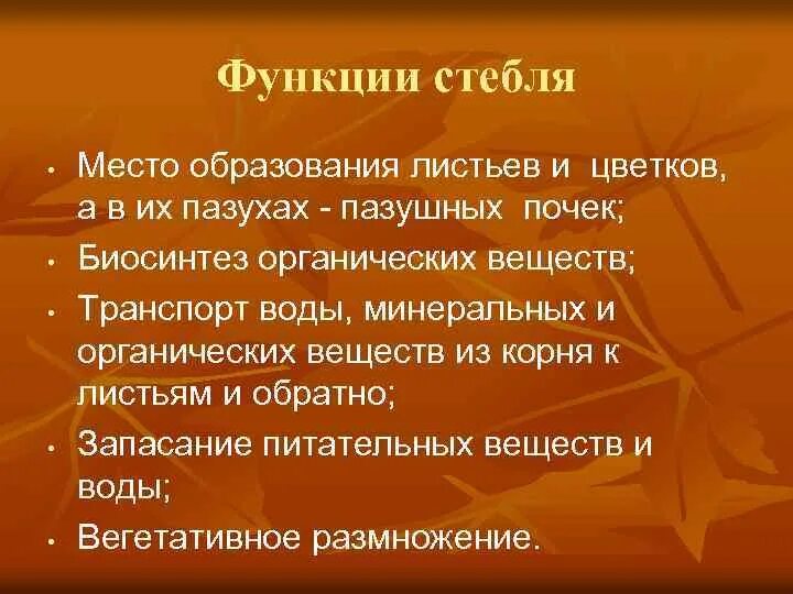 Основные функции стебля. Перечислите функции стебля. Перечислите функции стебля растений. Выберите функции стебля. Функции стебля ответ