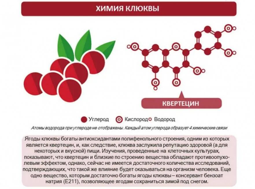 При каких заболеваниях полезна клюква. Химическая формула клюквенного сока. лекарственные вещества в клюкве. чем полезна клюква. химический состав клюквы.