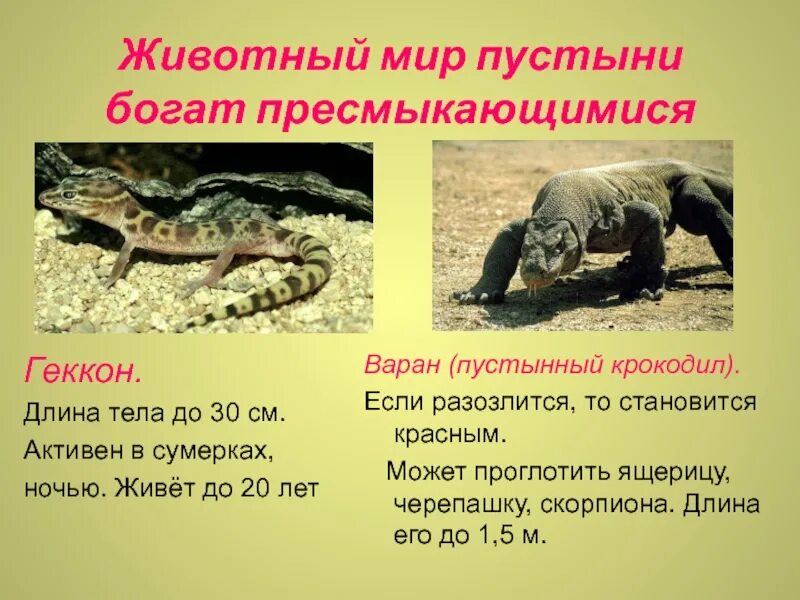 Притча скорпионы. Пустыни. животный мир. притча о черепахе и скорпионе. варан пустынный крокодил. узбекская сказка черепаха и скорпион презентация.