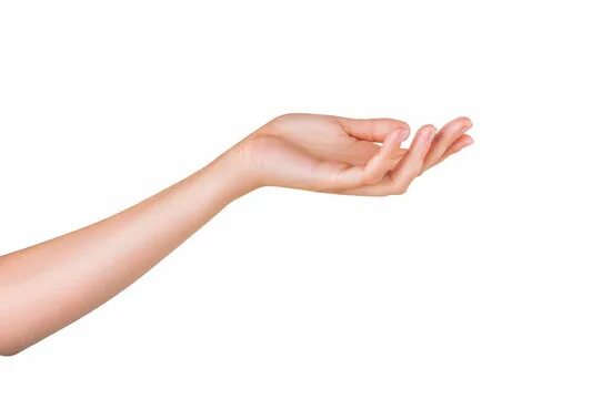 26 People Who Have Odd and Unique Body Features Dream body, Body goals, Hand ref