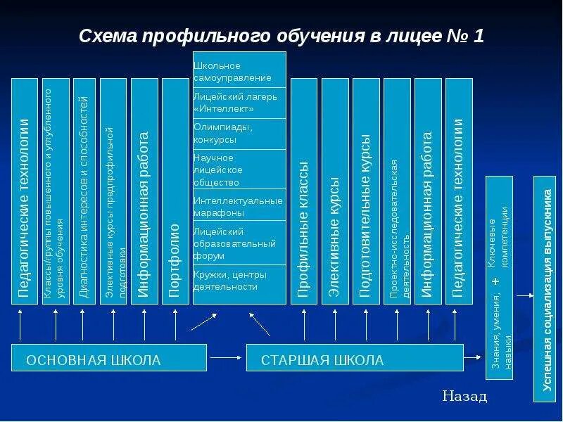 Уровни профильного обучения. Профильное обучение в лицее. Профильные уровни образования-. Уровни образования в 6 классе лицея. Профили обучения в многопрофильном лицее.