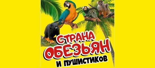 Страна обезьян и пушистиков. Проспект ленина волгоград страна обезьян и пушистиков отзывы. Выставка зоопарк страна обезьян и пушистиков. Выставка пушистиков. Проспект ленина волгоград страна обезьян и пушистиков отзывы.