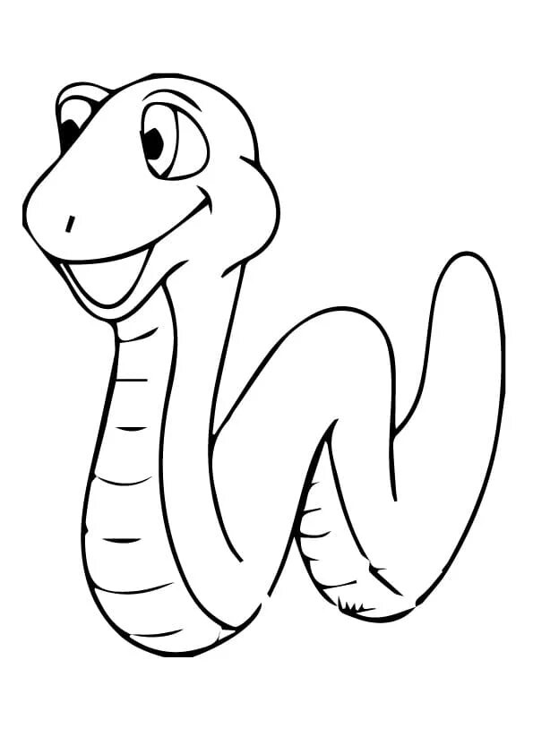 Snake colors
