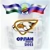 Орлан 2011. Орлан хоккейный клуб логотип. орлан хоккей. орлан пульт управления.