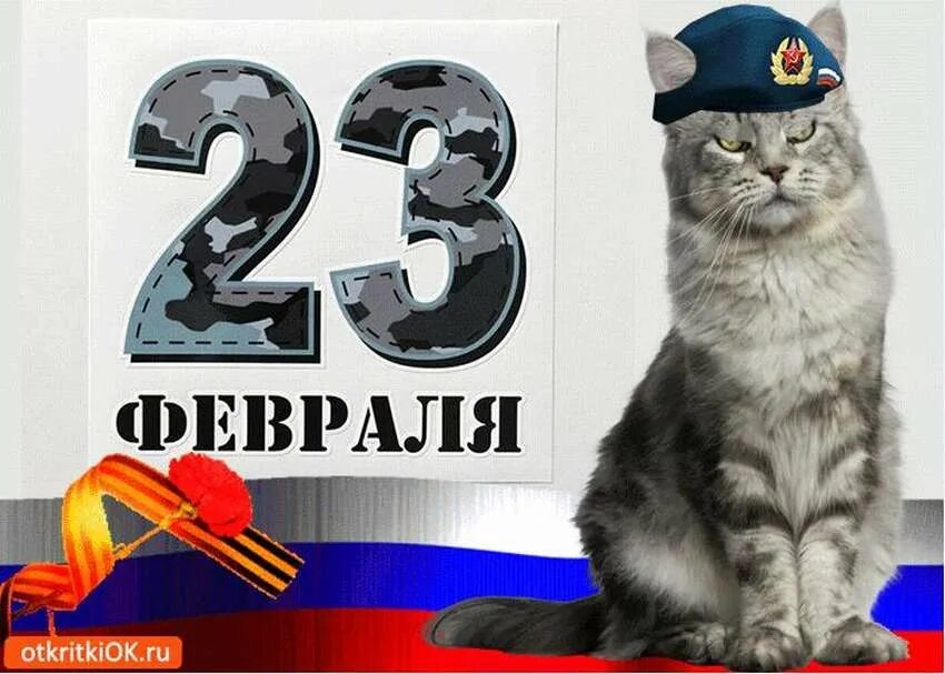 Открытка на 23 с котами. С 23 февраля. Открытка 23 февраля. 23 Февраля кот. С днём защитника Отечества 23 февраля.