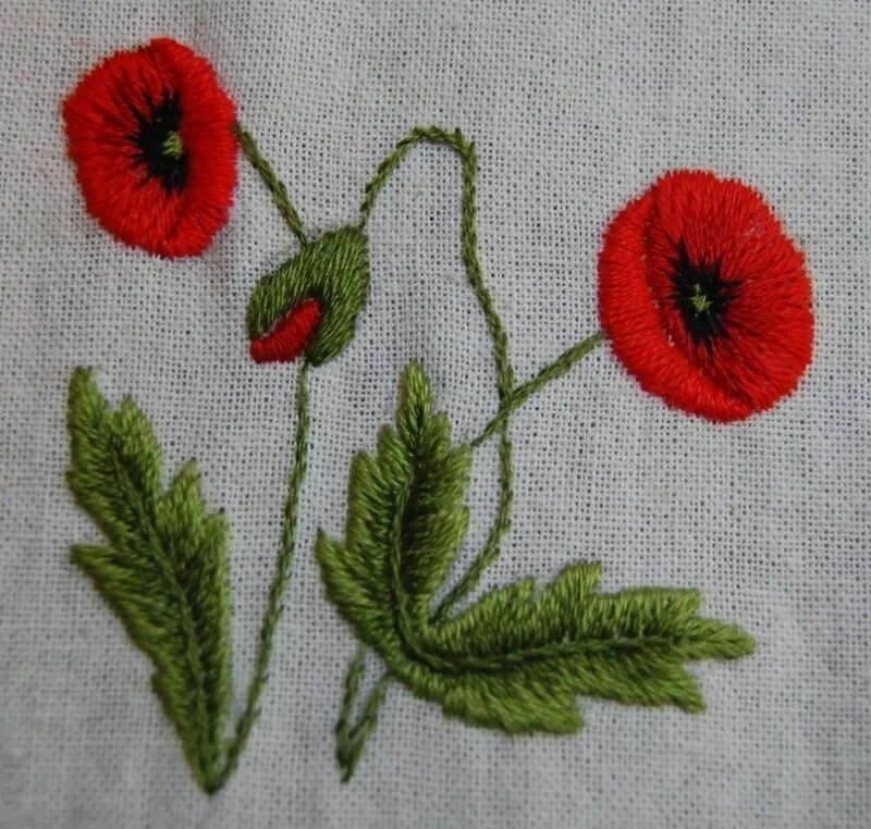 Вышивка гладью для начинающих. Вышивка гладью красивые цветы. Вышивка цветов гладью. Амариллис дименшенс. Вышивка гладью.