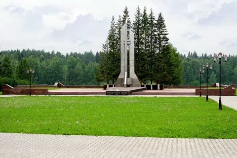 Плесецк город