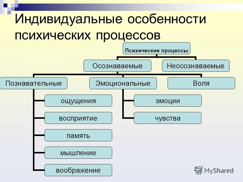 Ощущения память мышление воображение восприятие. Особенности психических процессов. Характеристика психических процессов. Индивидуальные особенности мышления. Индивидуальные особенности психических процессов.