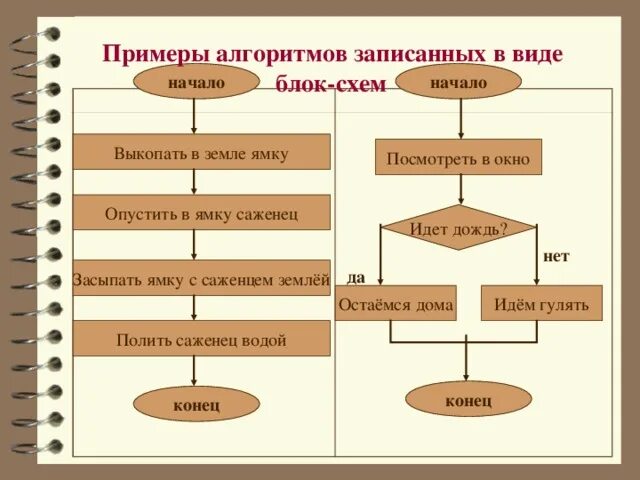 Три примера алгоритма. Примеры алгоритмов. что такое алгоритм примеры алгоритмов. алгоритмы в информатике примеры. пример простого алгоритма.