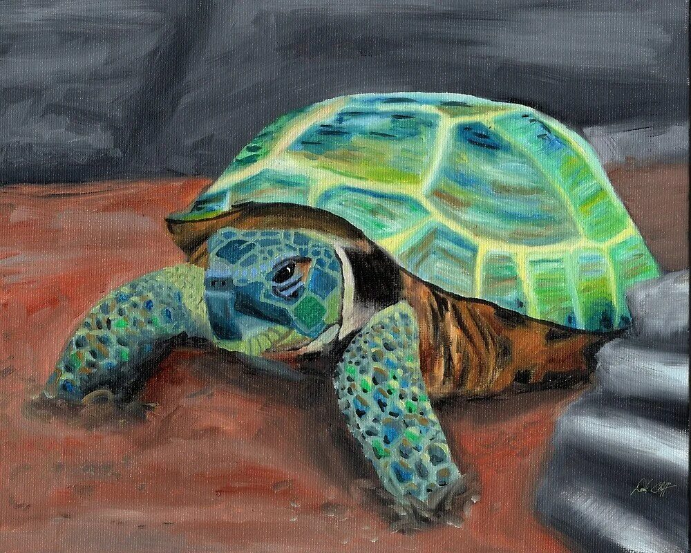 Древние черепахи. Нарисовать черепаху. Черепаха арт. Черепаха картина. Третьяковская галерея золотая черепаха.