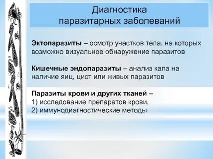 Болезни вызываемые паразитами