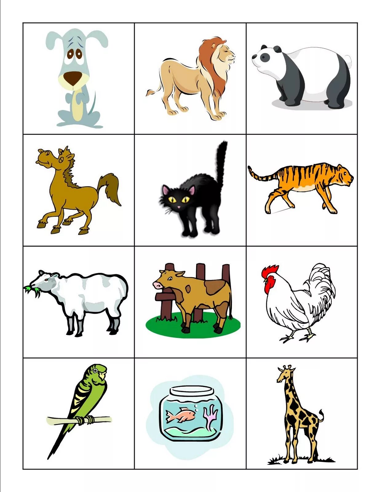 Animal categories. Animals categories.