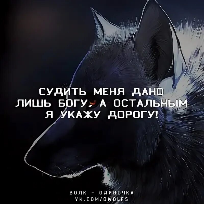 Бог всего лишь. Судить меня дано лишь. судить меня дано лишь богу другим укажу дорогу. судить меня дано лишь богу а остальным. не вам меня судить цитаты.
