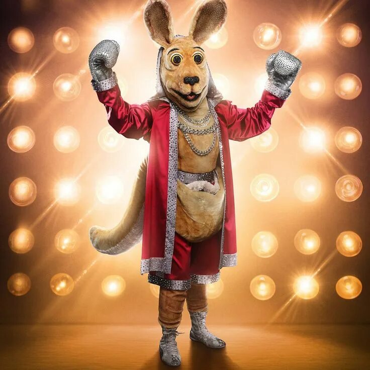 Шоу маска лама все. Шоу &quot;the masked singer&quot; -2025. the masked singer лама. mask singer fox. шоу маска лама.