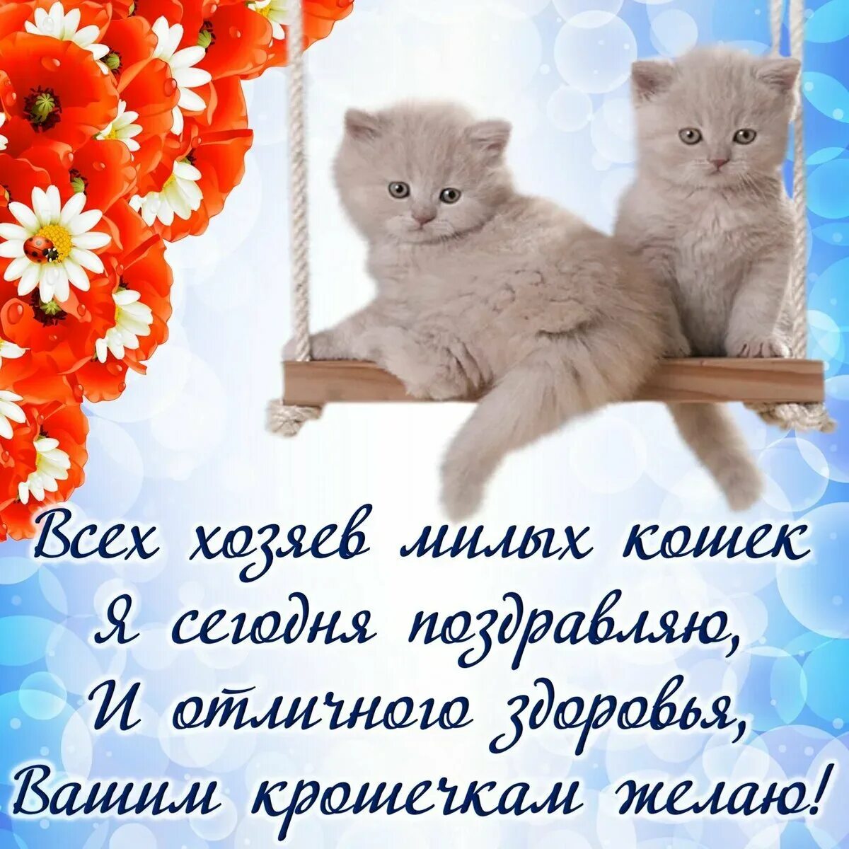 Когда день котят. Поздравление с днем кошек. всемирный день кошек. день кошек открытки. день кошек поздравления открытки.