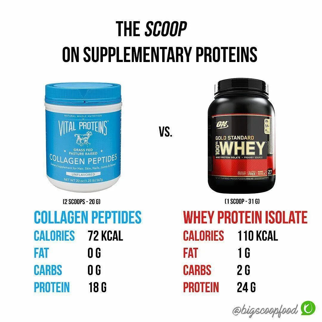 Отличие сывороточного протеина. Whey коллаген. Коллаген протеин. Протеин для набора мышечной массы. Протеин для роста мышц.