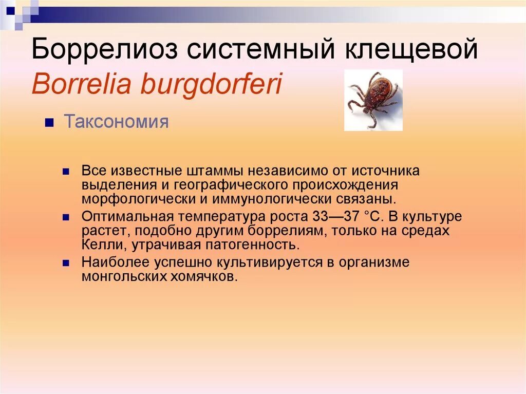 Энцефалит через сколько проявляется после укуса. Иксодовый клещевой боррелиоз диагностика. Лайм боррелиоз возбудитель заболевания.