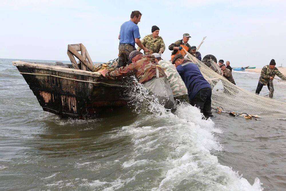 невод с лодки. байкальский омуль рыбозавод байкал. рыбак пенсионер. рыбалка неводом. летом рыбаки разрушили.