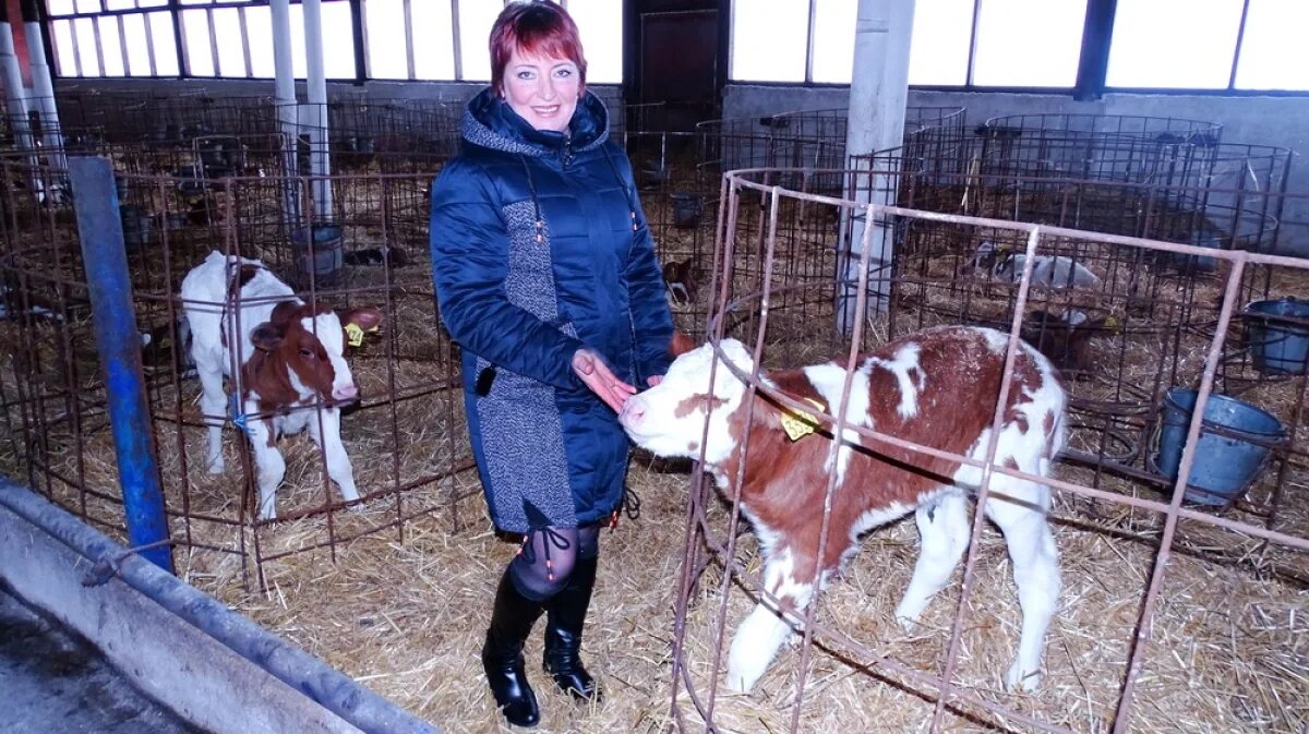 Вакансии в хохольский. Вакансии в хохольский. Усзн коркино. Бассейн дельфин хохольский. Хохольский лицей воронежская область.