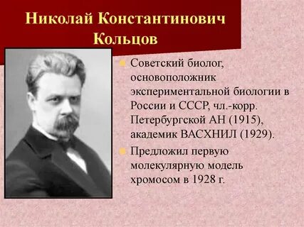 Сколько биолог