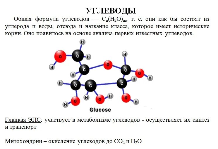 Запасным углеводом человека является. Формула углеводов биология. Общая формула углеводов биология 9 класс. Углеводы картинки химия. Углеводы химия.