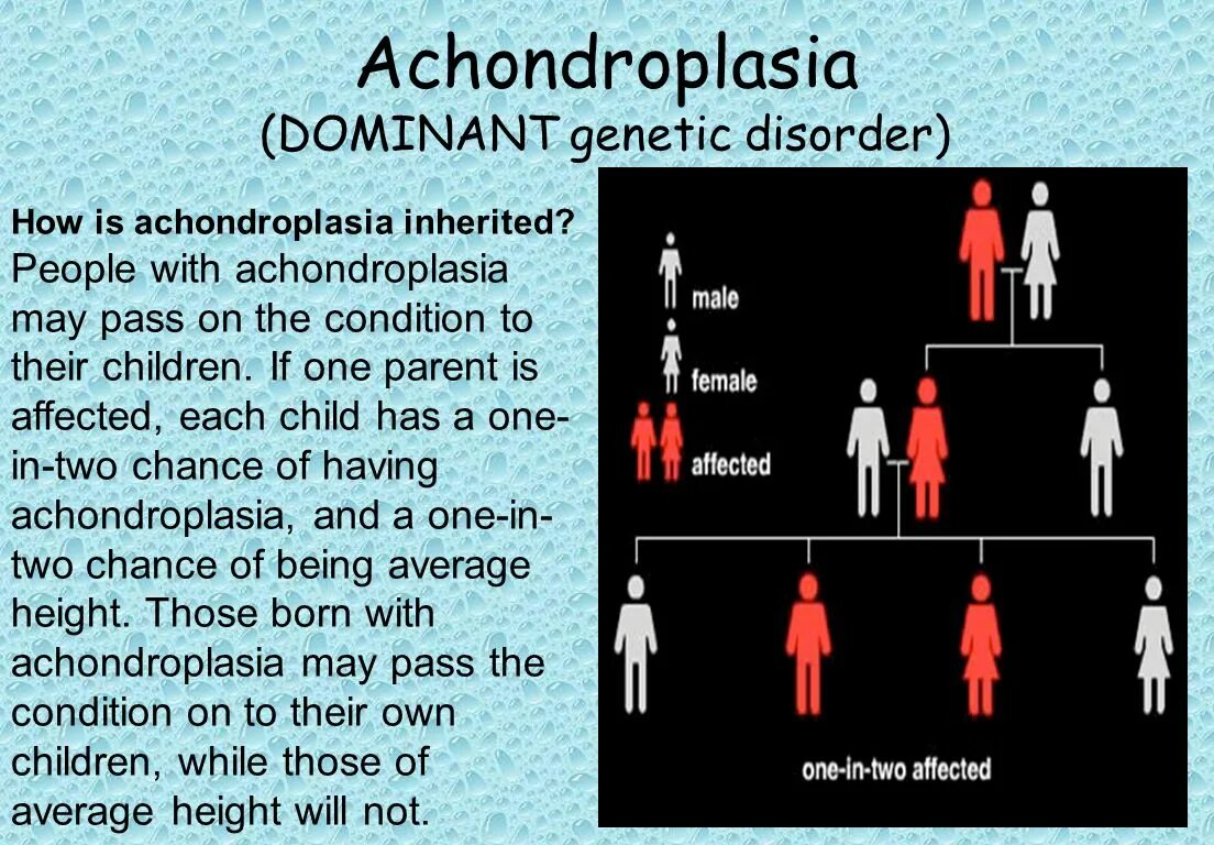 Height inherit. For acquisition of inheritance the successor has to ответ. human heredity.