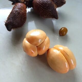 Ракум