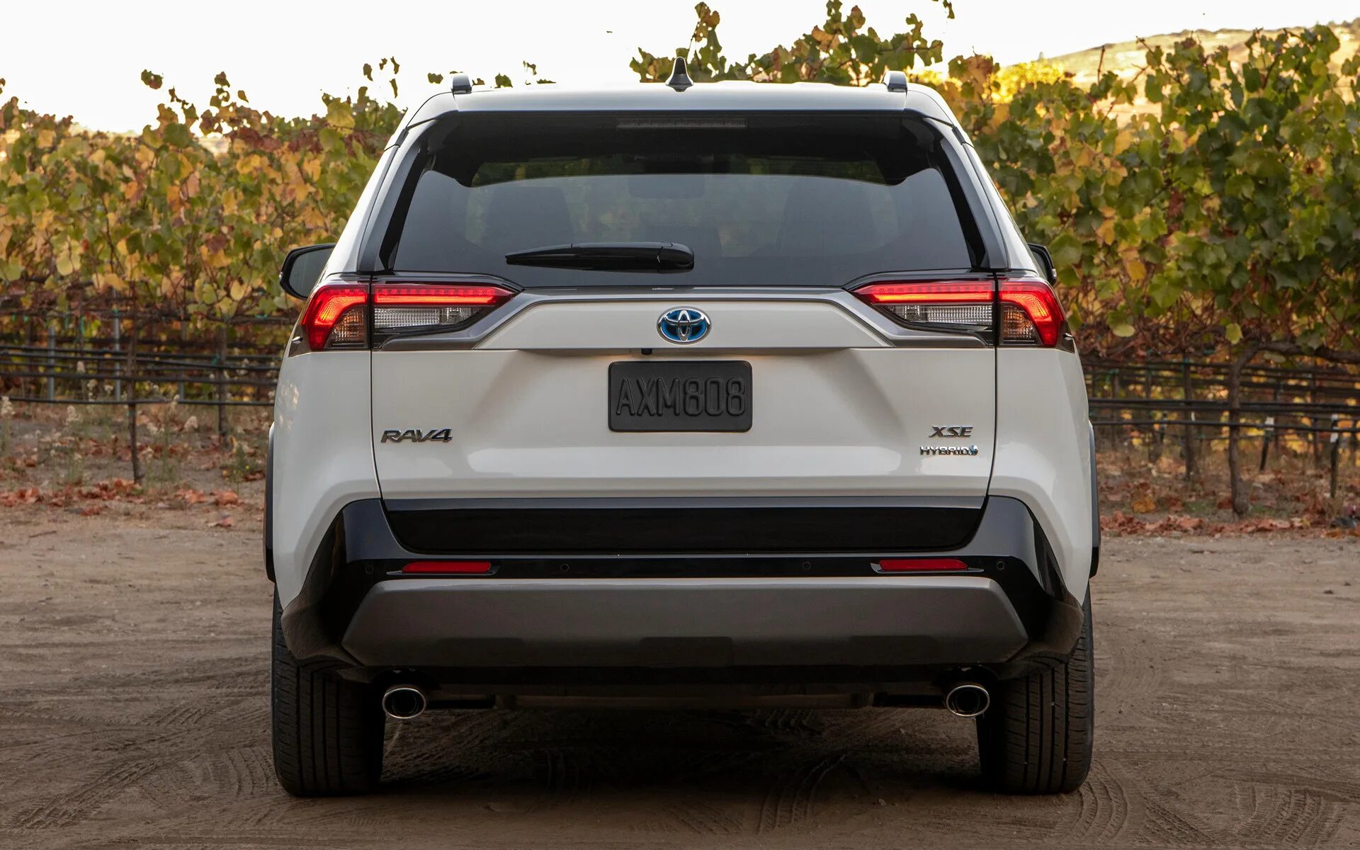 Рав 4 тип. Toyota rav4 2025 сзади. тойота рав 4 2025 зад. тойота рав 4 вид сзади. toyota rav4 2025 rear.