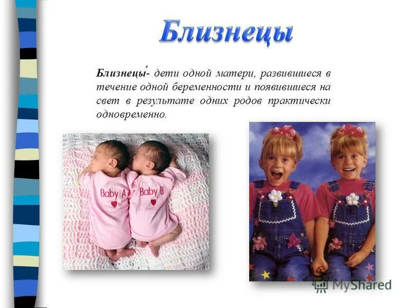 близнецы тема. методы исследования близнецовый. близнецовый метод исследования генетики человека. двойняшками называют.