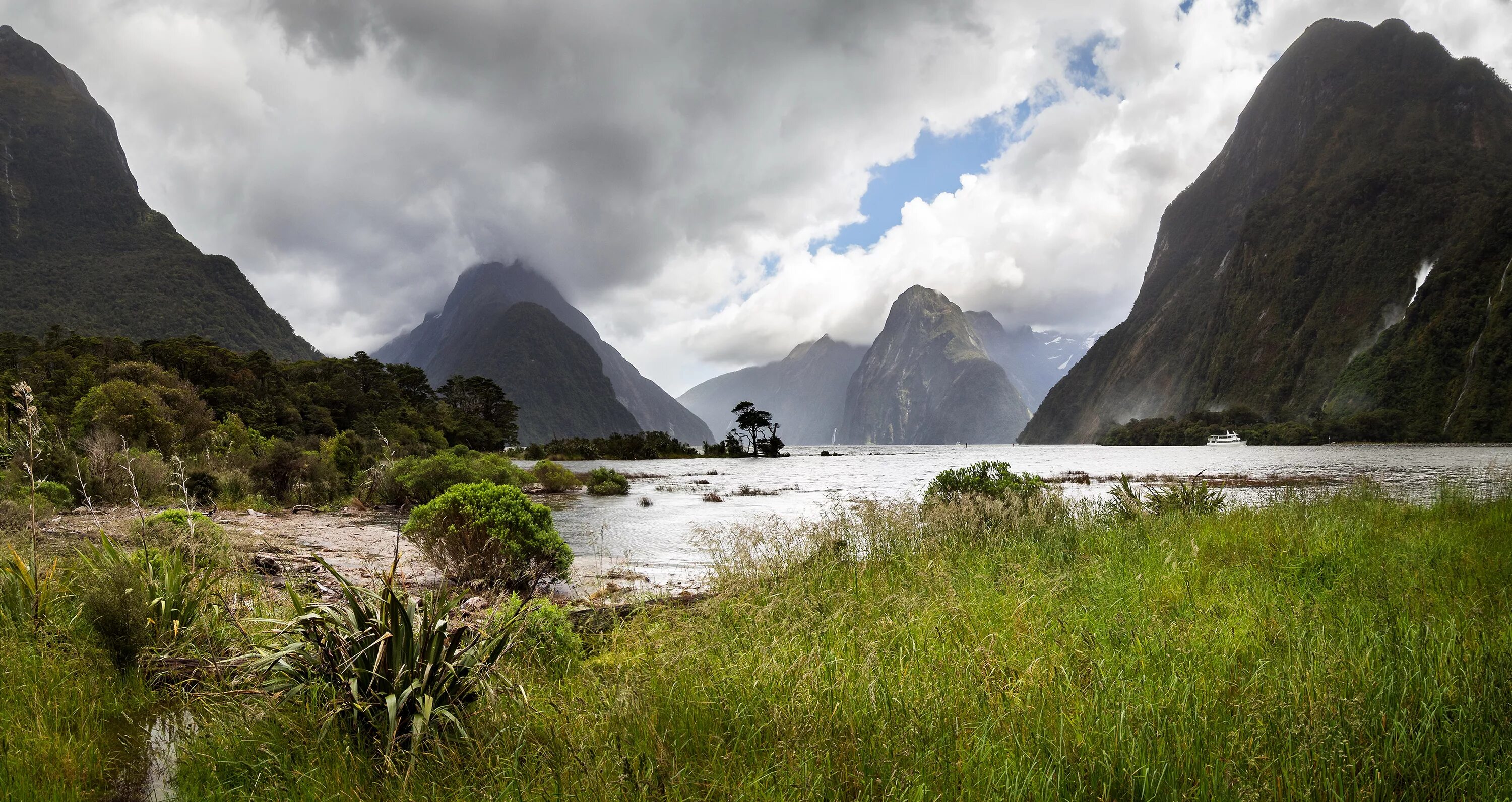 Mark in new zealand