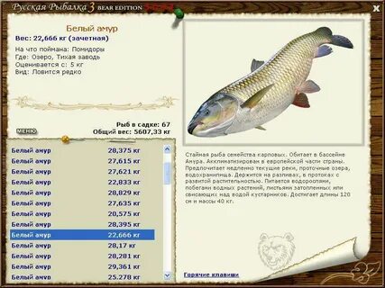 Рыбалка 3 буквы