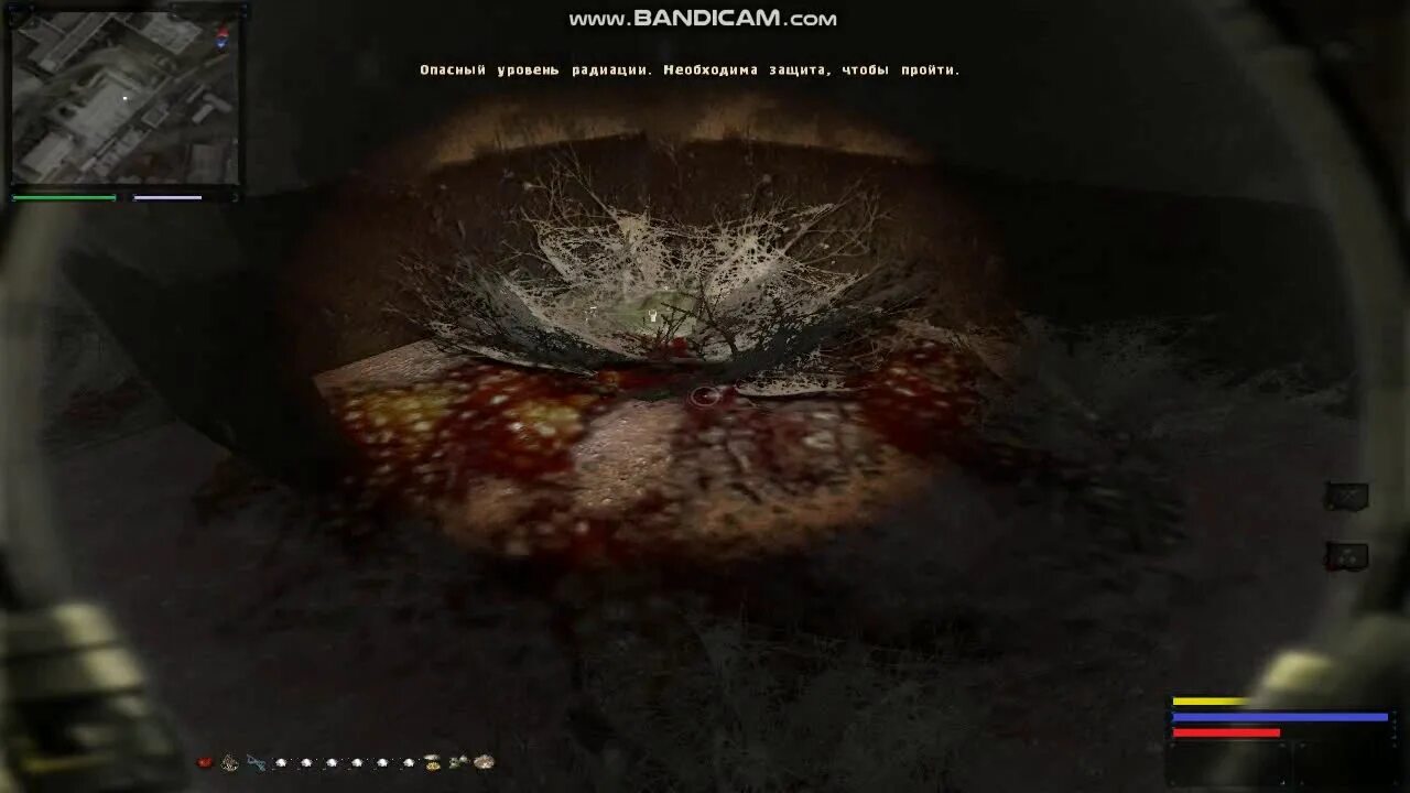 Путь человека где тайник. Сталкер сталкер путь к мечте. Хитрая нычка в оп 2. Тайник на краба. Сталкер дежавю прохождение.