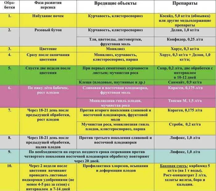 Опрыскивание деревьев весной от вредителей. Схема обработки плодовых деревьев от болезней. таблица обработки персика от болезней и вредителей. схема обработки яблонь от болезней и вредителей. график обработки плодовых деревьев от вредителей и болезней.